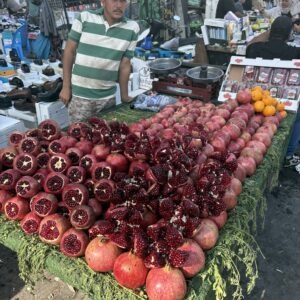KUWEJT, IRAK (9 DNI)