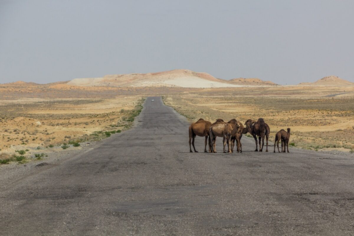 TURKMENISTAN, TADŻYKISTAN (9 DNI) - obrazek 5